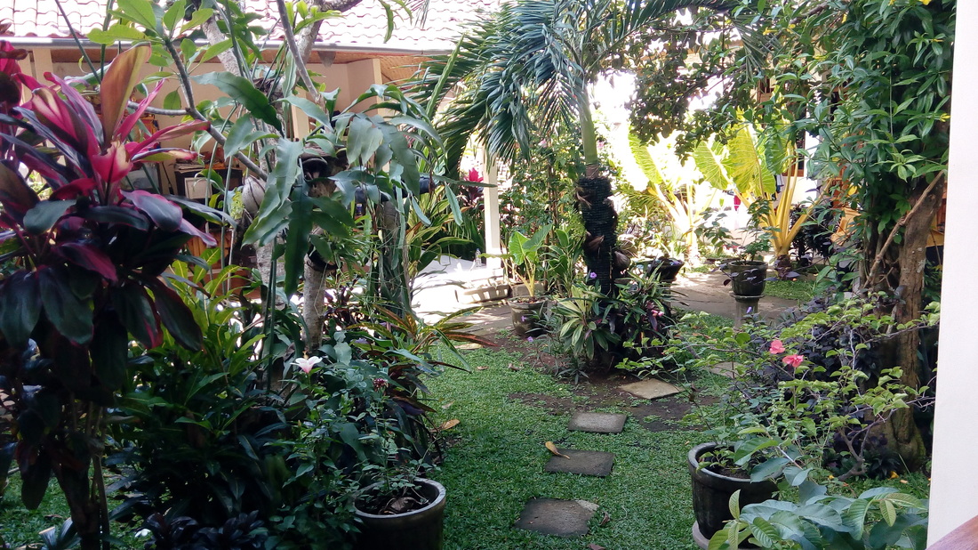 Kde sa ubytovat v Ubud, Bali