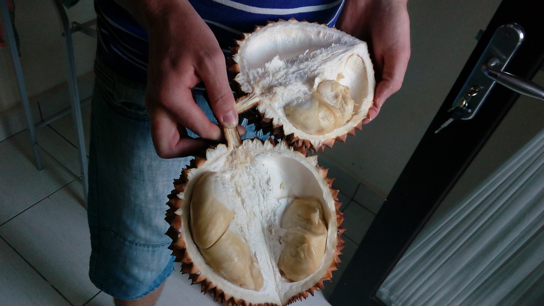 durian jedlo bali