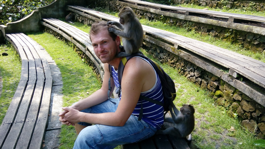 Opice kradnú, Bali